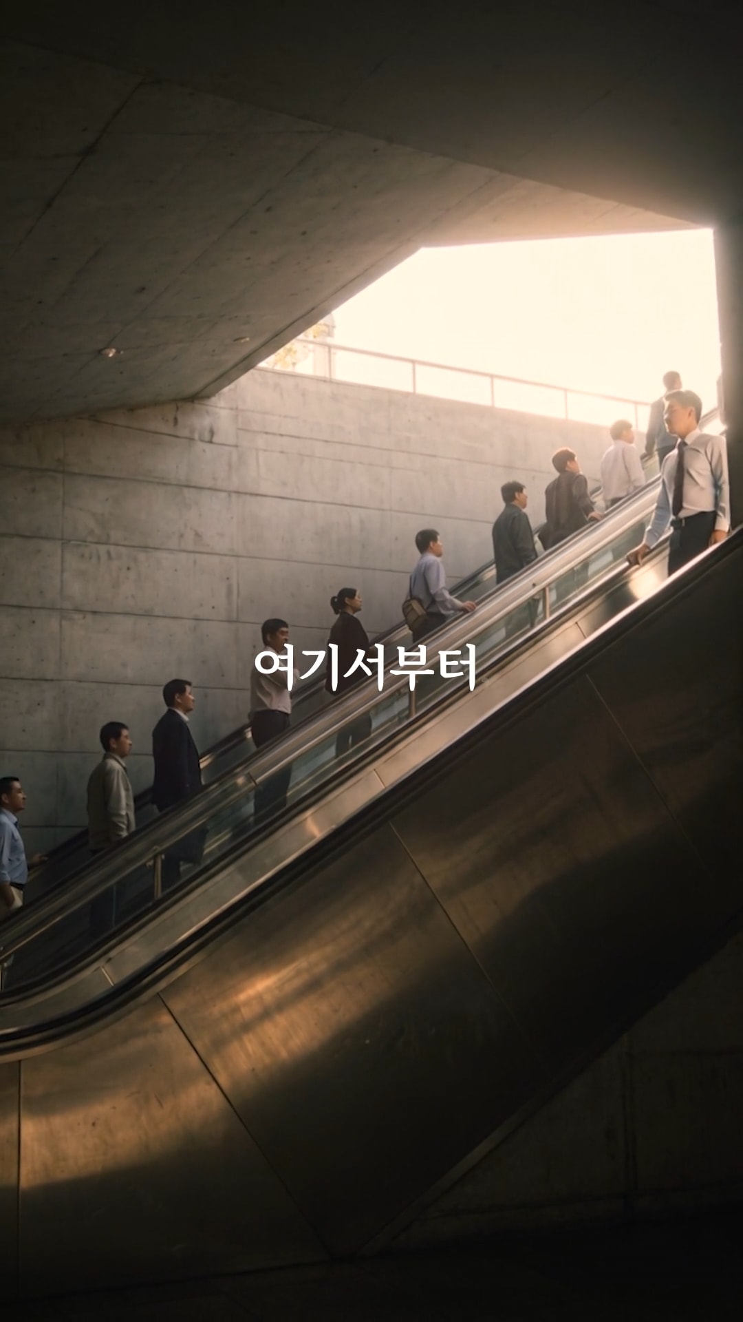 오늘도 수고한 다리에게