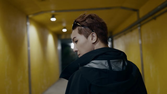 adidas Myshelter